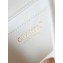 Chanel Calfskin & Gold-Tone Metal Messenger Bag AS4845 White 2024