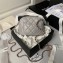 Chanel Lambskin & Gold-Tone Metal Clutch with Chain Bag AP4000 Gray 2024