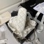 Chanel Lambskin & Gold-Tone Metal Clutch with Chain Bag AP4000 White 2024