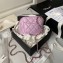 Chanel Lambskin & Gold-Tone Metal Clutch with Chain Bag AP4000 Lavender 2024