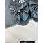 Chanel Heel 1.5cm Bow Mules Leather Black 2024