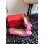 Ferragamo Ballet flats Pink with padded Vara bow 2024