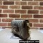 Gucci Horsebit 1955 mini bag 752002 Beige GG Supreme canvas 2024