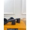 Louis Vuitton Heel 5cm LV Capri Mules Calf leather Black 2024