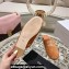 Celine TRIOMPHE Slippers Brown 2024