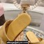 Celine TRIOMPHE Slippers Camel 2024