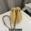 Saint Laurent MINI JOE bag in raffia 774297 2024
