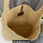 Saint Laurent LE 5 A 7 bag in raffia crochet and smooth leather 690941 Beige 2024