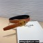 Celine Width 2.5cm Medium Reversible Framed Triomphe Belt In Taurillon And Natural Calfskin Camel/Gold