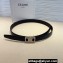Celine Width 2.5cm Medium Reversible Framed Triomphe Belt In Taurillon And Natural Calfskin Black/Silver