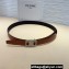 Celine Width 2.5cm Medium Reversible Framed Triomphe Belt In Taurillon And Natural Calfskin Camel/Silver
