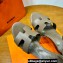 Hermes Legend Wedge sandals in calfskin Gray (original quality)