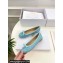 Dior Ballet Flats in Cannage Raffia Blue 2024