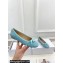 Dior Ballet Flats in Cannage Raffia Blue 2024