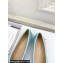 Dior Ballet Flats in Cannage Raffia Blue 2024
