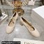 Dior Heel 5cm Ballet Pumps in Quilted Cannage Calfskin Beige 2024
