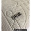 Dior Rider 2.0 Zipped Messenger Bag in Beige Dior Gravity Leather and Beige Grained Calfskin 2024