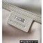 Dior Rider 2.0 Zipped Messenger Bag in Beige Dior Gravity Leather and Beige Grained Calfskin 2024