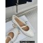 Dior Ballet Flats with Strap in Quilted Cannage Calfskin White 2024