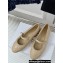 Dior Ballet Flats with Strap in Quilted Cannage Calfskin Beige 2024