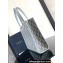 Dior Safari Tote Bag in Gray CD Diamond Canvas and Grained Calfskin 2024