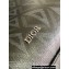 Dior Safari Tote Bag in Black CD Diamond Canvas and Grained Calfskin 2024
