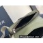 Dior Saddle Bag in Khaki Grained Calfskin 2024