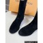 Louis Vuitton LV Rider Boots Pony-style calf leather Black 1AD7FR 2024