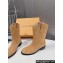 Louis Vuitton LV Rider Boots Suede calf leather Beige 1AD7PH 2024
