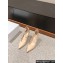 Dior Heel 8cm Jolie Heeled Pumps with Leather strap and CD resin pearl in Nude Patent Calfskin 2024