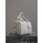 Dior Groove 25 Bag in White Graphic Cannage Calfskin 2024