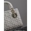 Dior Medium Lady Dior Bag in White Graphic Cannage Calfskin 2024