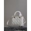 Dior Medium Lady Dior Bag in White Graphic Cannage Calfskin 2024