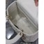 Dior Medium Lady Dior Bag in White Graphic Cannage Calfskin 2024