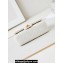 Chanel Shiny Lambskin, Imitation Pearls & Gold-Tone Metal Mini Flap Bag AS4947 White 2024
