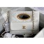 Chanel Lambskin & Gold-Tone Metal Clutch Bag AS5038 White 2024