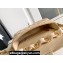 Chanel 24K Lambskin & Gold-Tone Metal Small Flap Bag Beige 2024