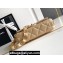 Chanel 24K Lambskin & Gold-Tone Metal Flap Bag Beige 2024