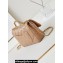 Chanel Shiny Lambskin & Gold-Tone Metal Mini Flap Bag with Top Handle AS5043 Beige 2024