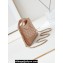 Chanel Shiny Lambskin & Gold-Tone Metal CHANEL 31 Nano Shopping Bag AP3656 Brown 2024