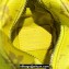 Louis Vuitton Lemon Pouch Bag Charm M81197 Yellow Monogram coated canvas 2024