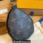 Louis Vuitton Duck Coin Card Holder M81077 2024