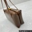 Jil Sander Goji Pillow Small Bag Brown
