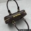 Miu Miu Arcadie leather Mini bag Briarwood 2024