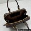 Miu Miu Arcadie leather Mini bag Briarwood 2024