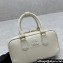 Miu Miu Arcadie leather Mini bag White 2024