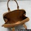 Miu Miu Arcadie leather Mini bag Cognac 2024