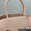 Ferragamo Hug handbag (S) Light Pink