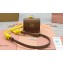 Miu Miu Leather, cord, and metal trick with mini-pouch bag 5TL515 Cognac/Yellow 2024