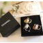 Chanel Earrings 100 2018